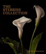 Stebbins Collection