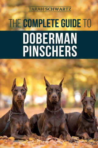 Complete Guide to Doberman Pinschers