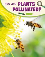How Are Plants Pollinated?