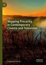 Mapping Precarity in Contemporary Cinema and Television