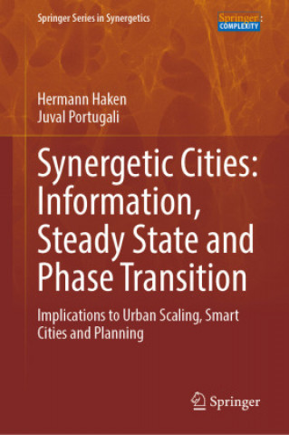 Synergetic Cities: Information, Steady State and Phase Transition