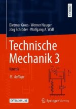 Technische Mechanik 3