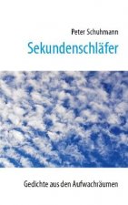 Sekundenschlafer