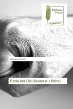 Dans les Coulisses du Sahel