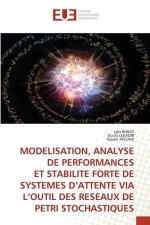 Modelisation, Analyse de Performances Et Stabilite Forte de Systemes d'Attente Via l'Outil Des Reseaux de Petri Stochastiques