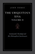 Ubiquitous Siva Volume II
