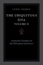 Ubiquitous Siva Volume II