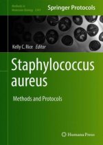 Staphylococcus aureus