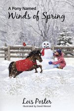 Pony Named Winds of Spring