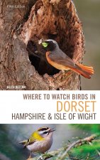 Where to Watch Birds in Dorset, Hampshire and the Isle of Wight