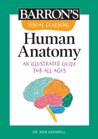 Visual Learning: Human Anatomy: An Illustrated Guide for All Ages
