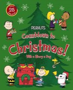 Countdown to Christmas!: With a Story a Day