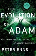 Evolution of Adam