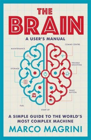 Brain: A User's Manual