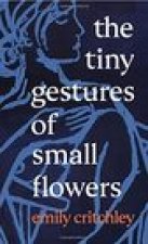Tiny Gestures of Small Flowers