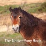Native Pony Book