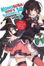 Konosuba: God's Blessing on This Wonderful World!, Vol. 14 light novel