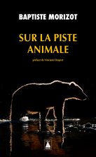 Sur la piste animale