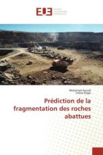 Prediction de la fragmentation des roches abattues