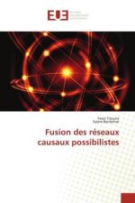 Fusion des reseaux causaux possibilistes