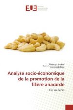 Analyse socio-economique de la promotion de la filiere anacarde