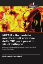 MITAM - Un modello modificato di adozione delle TIC per i paesi in via di sviluppo
