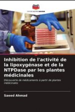 Inhibition de l'activite de la lipoxygenase et de la NTPDase par les plantes medicinales