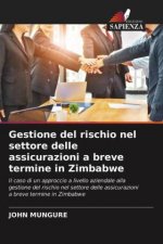 Gestione del rischio nel settore delle assicurazioni a breve termine in Zimbabwe