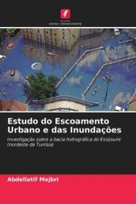 Estudo do Escoamento Urbano e das Inundacoes