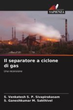 separatore a ciclone di gas