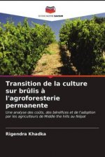 Transition de la culture sur brulis a l'agroforesterie permanente