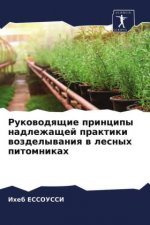 Руководящие принципы на&