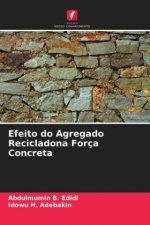 Efeito do Agregado Recicladona Forca Concreta