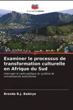 Examiner le processus de transformation culturelle en Afrique du Sud