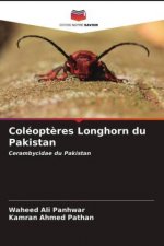 Coleopteres Longhorn du Pakistan