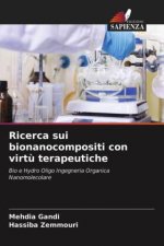 Ricerca sui bionanocompositi con virtu terapeutiche