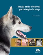 VISUAL ATLAS OF DENTAL PATHOLOGIES IN DO