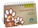 FLEAS & TICKS IN SMALL ANIMALS