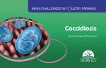 COCCIDIOSIS MAIN CHALLENGES IN POULTRY F