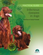 INFECTIOUS DISEASES IN DOGS PRACTICAL GU