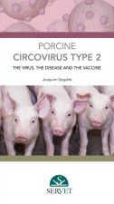 PORCINE CIRCOVIRUS TYPE 2 THE VIRUS THE