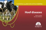 HOOF DISEASES ESSENTIAL GUIDES ON CATTLE