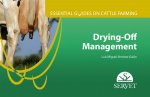 DRYINGOFF MANAGEMENT ESSENTIAL GUIDES ON