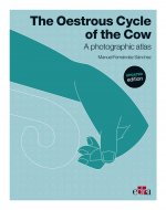 OESTROUS CYCLE OF THE COW UPDATED EDITIO