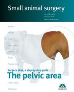 PELVICAAREA SMALL ANIMAL SURGERY
