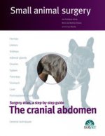 CRANIAL ABDOMEN SMALL ANIMAL SURGERY