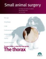THORAX SMALL ANIMAL SURGERY