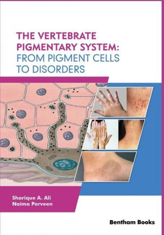 The Vertebrate Pigmentary System: From Pigment Cells to Disorders