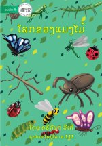 World of Insects - ໂລກຂອງແມງໄມ້