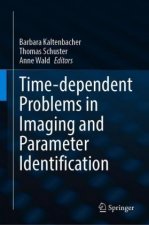 Time-dependent Problems in Imaging and Parameter Identification